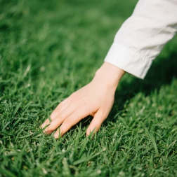 korosukegf's tweet photo. #openseatouchgrass https://t.co/TImgIWP3oB