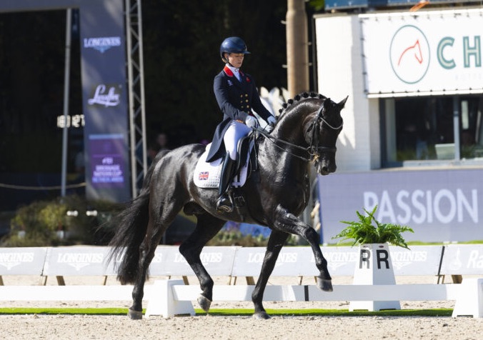 Irischer Sieg in Rotterdam, Britin dominiert Dressur. Das CHIO Rotterdam. zurl.co/IY20V
#Rotterdam #dressage #showjumping