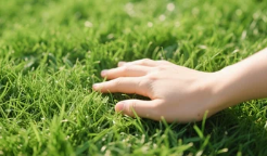 DRisko16820's tweet photo. #openseatouchgrass https://t.co/w4SzoDk9tx