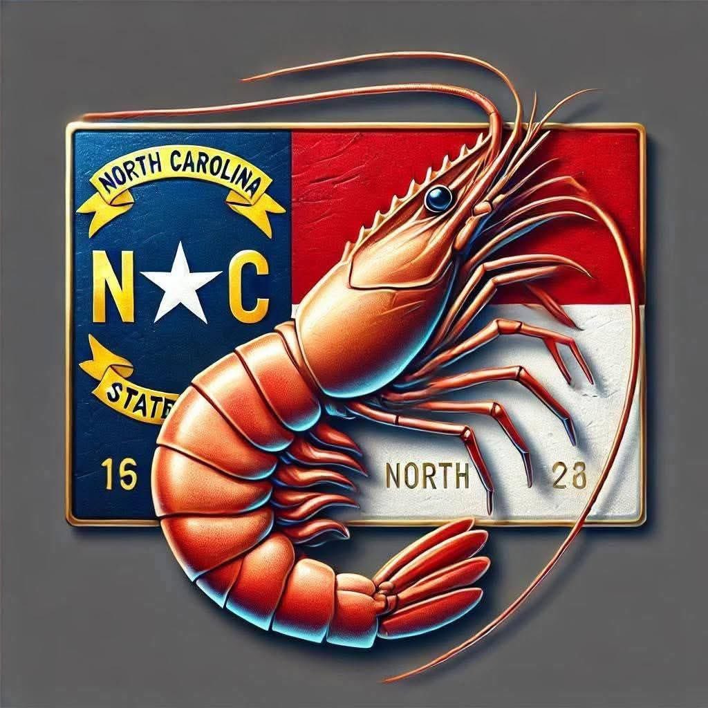 LOW COUNTRY PATRIOT 369 tweet media