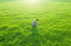 DhymasSteven's tweet photo. #openseatouchgrass https://t.co/rfk17EkwdK