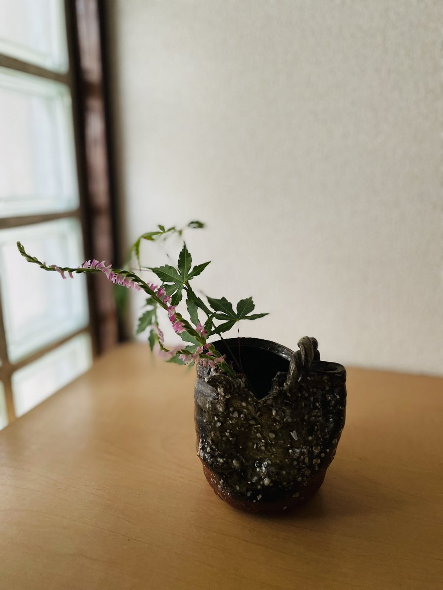 6月のお稽古　
茶通箱

茶花
シモツケソウ
シマアシ

ネジバナ、アオカエデ

#表千家　#茶道教室  #茶道
#茶道と着付けと華道の教室
#和文化教室
#茶通箱
#立川　#立川市　#多摩
#茶花　#山野草
#玄関の花