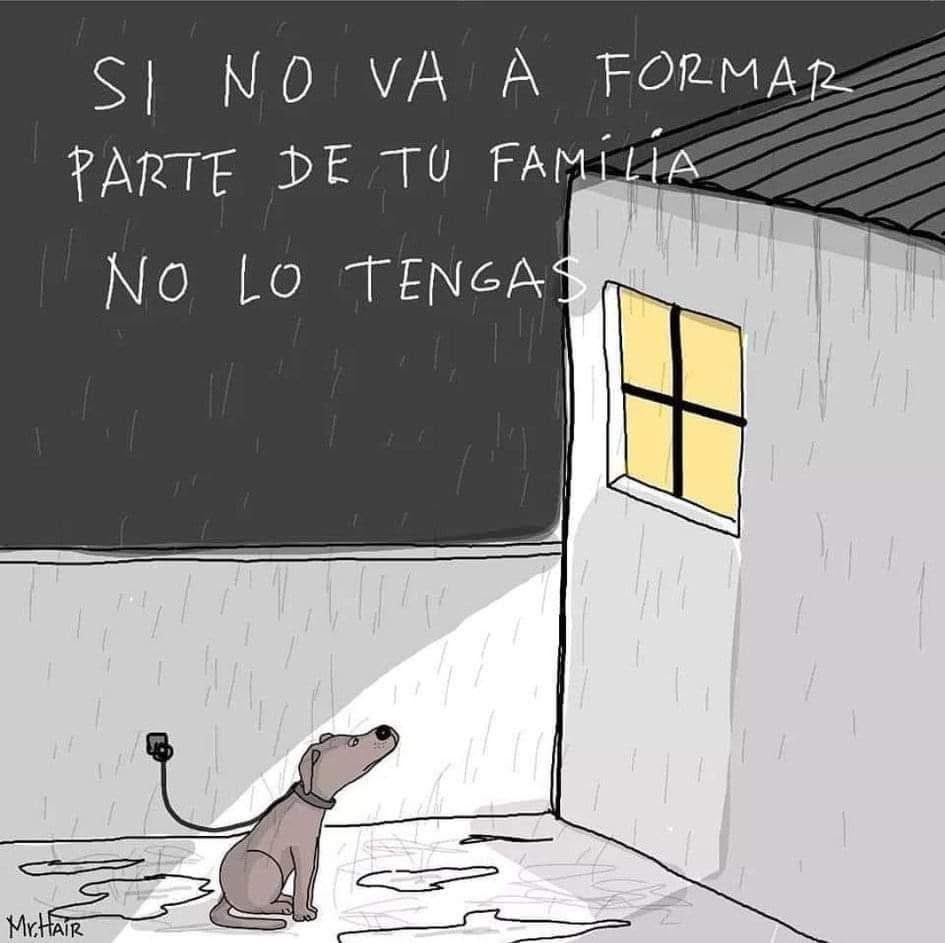 Mayú Guillén 🇲🇽🇺🇦 (@mayumiguillen) on Twitter photo 