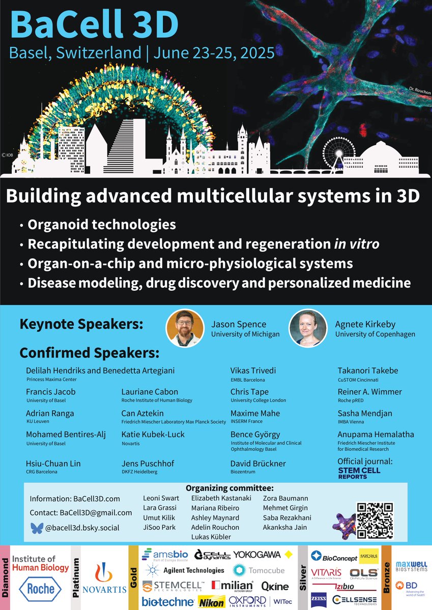 BaCell3D tweet media