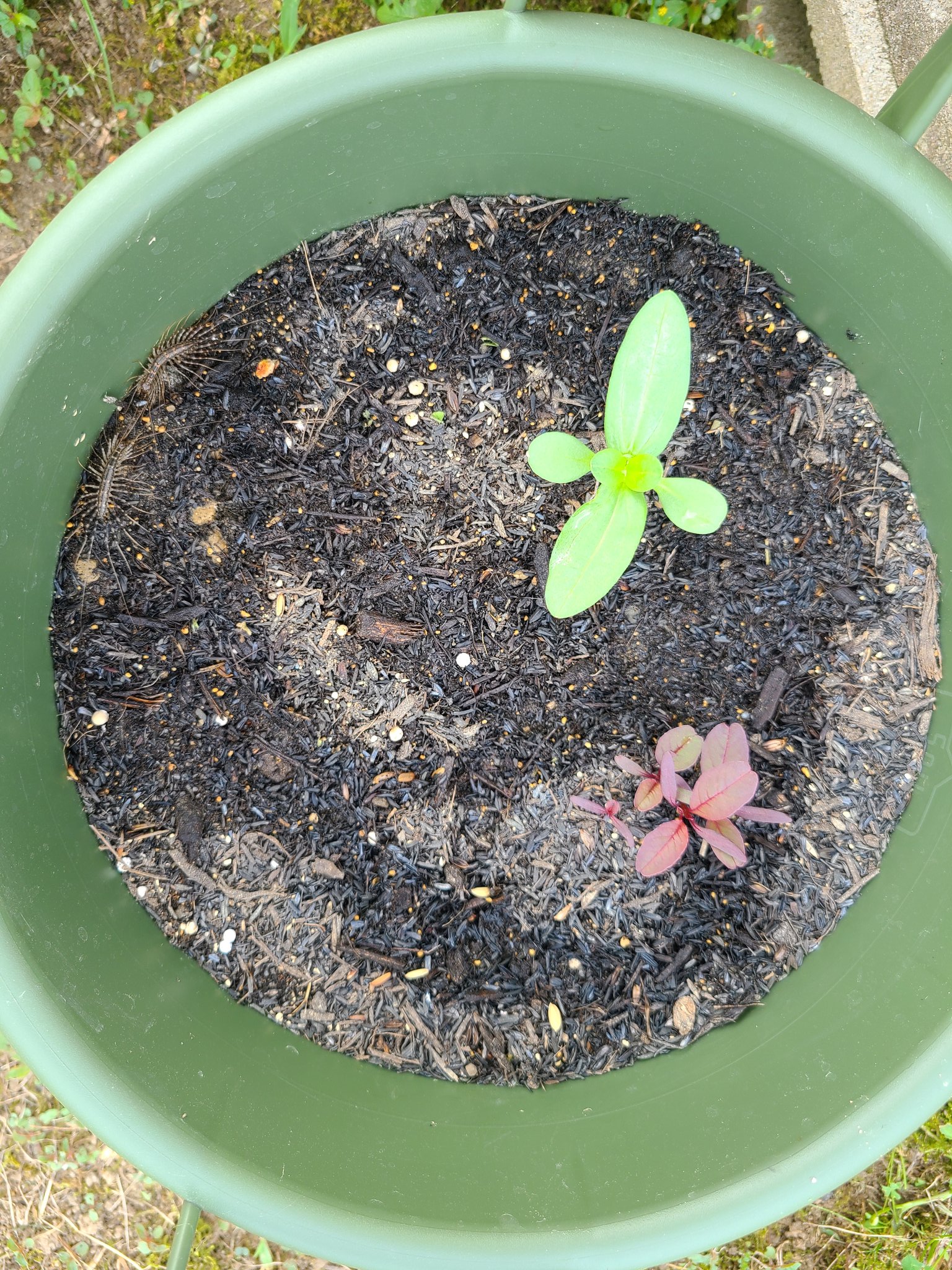 能登半島地震】石川県穴水町｜公式 (@anamizu_town) / X