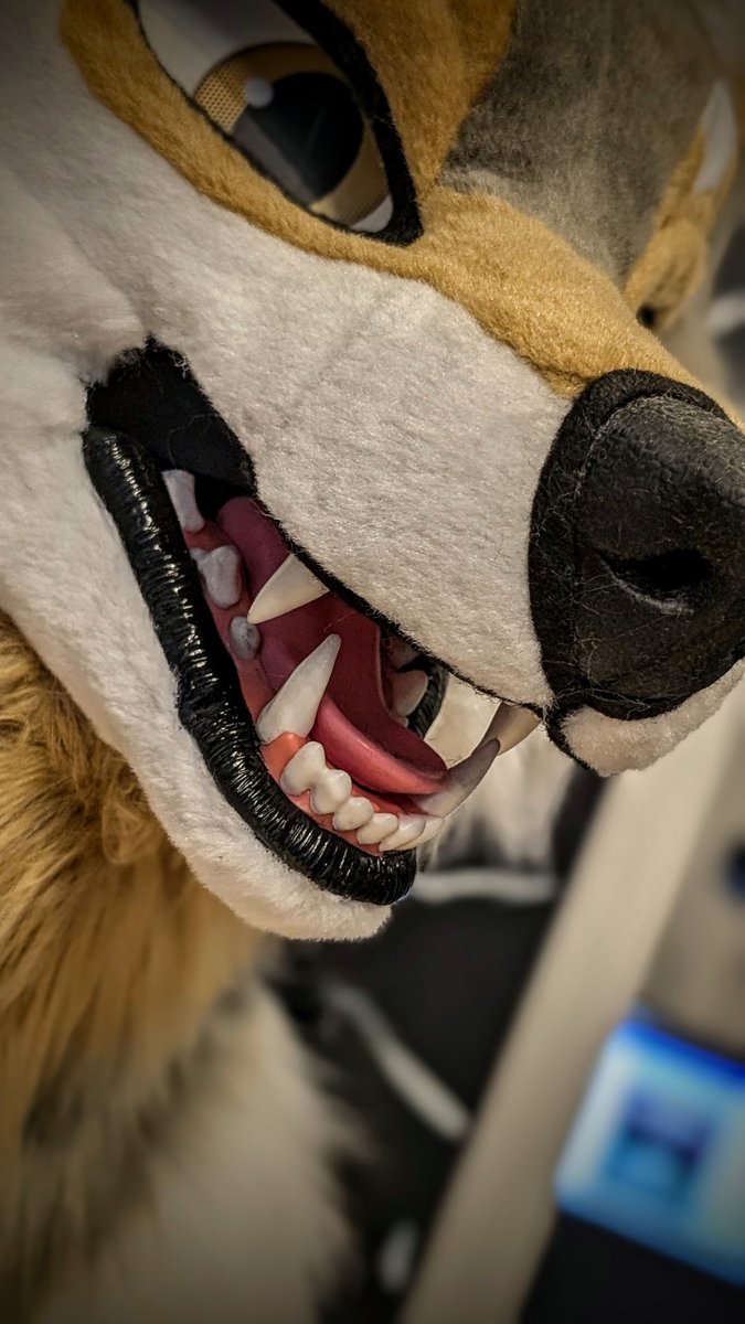 Our latest finished head for our #YCHWEEKEND event raffle! Won by <a href="/HellTechWolf/">Kerberuss</a> 😁✨🔥

#furryfandom #furrycommunity