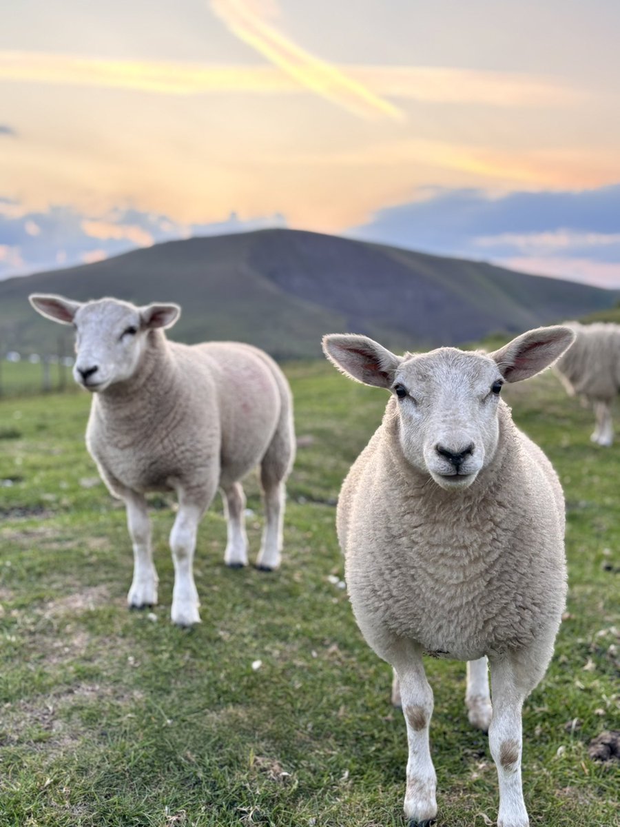 Spent a bit of the summer solstice around Winnats Pass this evening. Spectacular skies ☀️