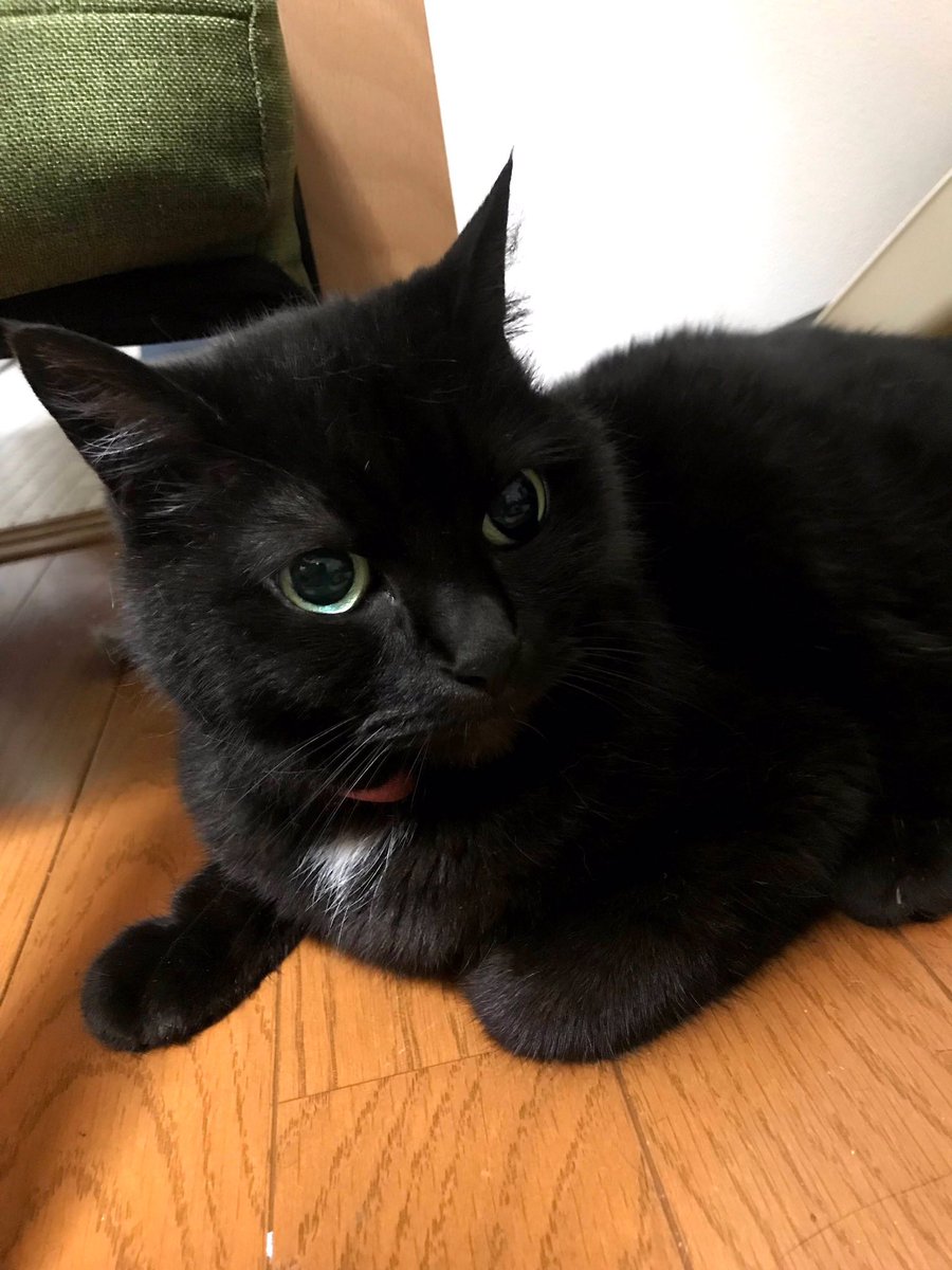 ヨッシー (@AOGSDkw5Qmr1X51) / Posts / X