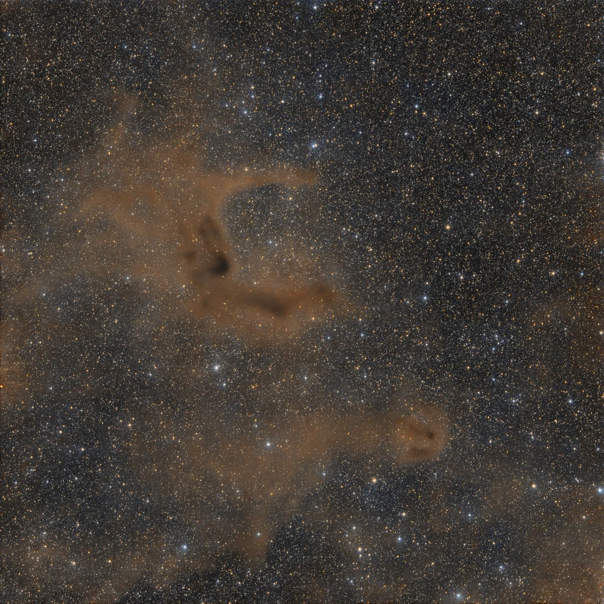 chucksastropho1's tweet image. My latest capture.  This is the &apos;E&apos; nebula - a combination of two dark nebulae, Barnard 143 (top half of the &apos;E&apos;) and Barnard 142 (lower half) with a background of Milky Way stars. 

Celestron RASA telescope
ZWO ASI533MC camera
Antlia L-Filter
Starfront Observatories, TX