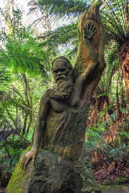 _SJD_77's tweet photo. @russellcrowe Ricketts Sanctuary Mt Dandenong https://t.co/YPiUo7Unkp