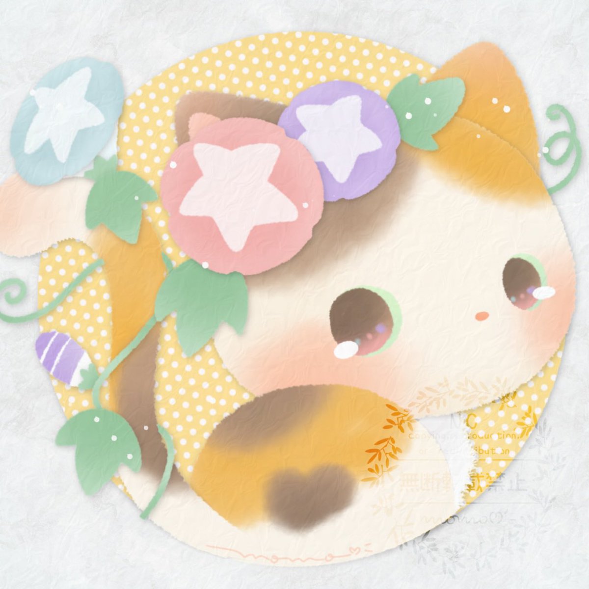 もも🌷momo (@momo_20211031) / Posts / X