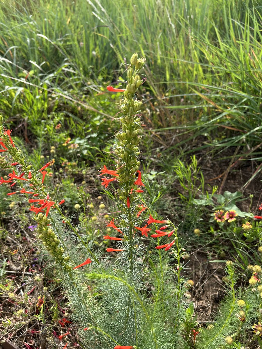 Jennifer Fey tweet media