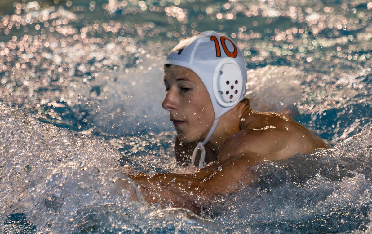 waterpoloturia tweet media