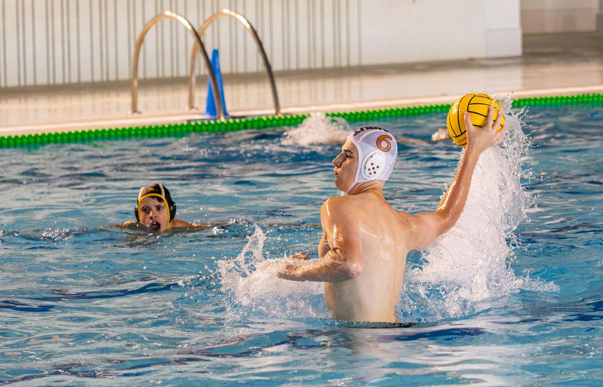 waterpoloturia tweet media