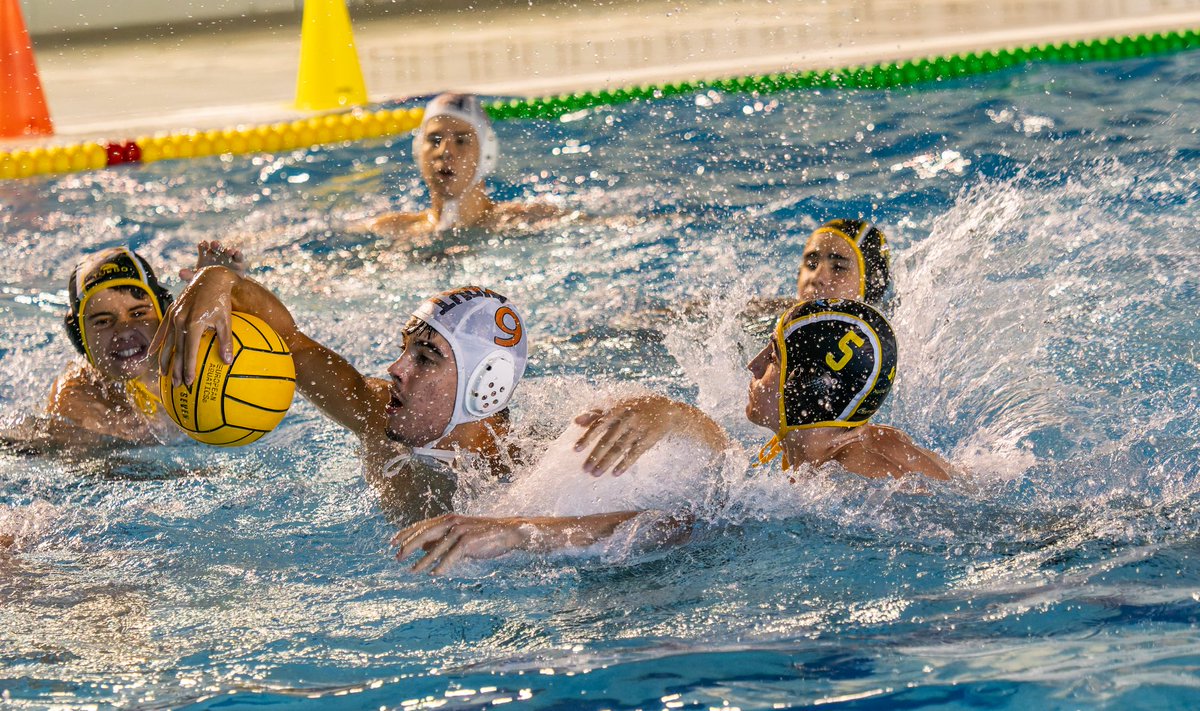 waterpoloturia tweet media