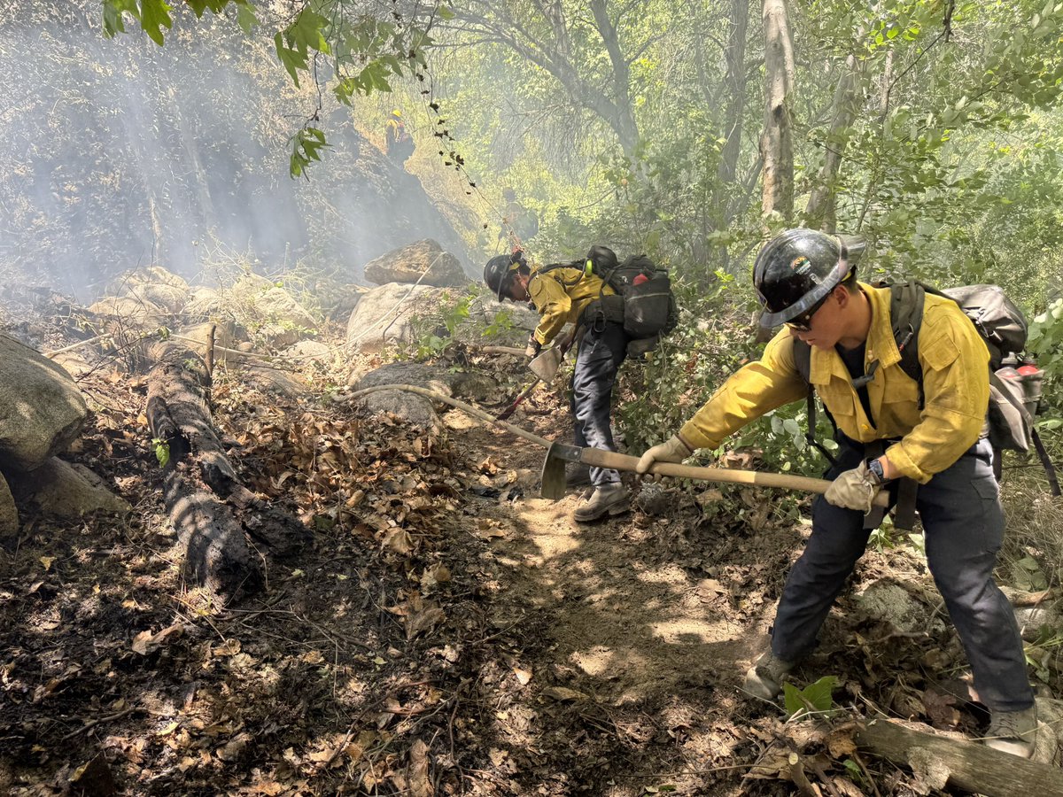 SBCOUNTYFIRE's tweet photo. San Bernardino (Final): #CookFire command terminated, with fire now fully contained at just under five acres. A quick response by first-arriving companies kept the fire from spreading across Hwy 330.
The multi-agency response included engine companies, patrol units, chief officers, hand crews and heavy equipment, as well as one fixed wing aircraft and one helicopter.
The fire perimeter was determined to be within the city of San Bernardino. County Fire thanks cooperating agencies @SanBernardinoNF forest, @CALFireBDU, @CHP_San_Berdoo, and @Yuhaaviatam for their assistance.
The cause of the fire is now under investigation by County Fireβs office of the fire marshal.
Hwy 330 now reopened.
Media Contact: Ryan Beckers, PIO
Rbeckers@sbcfire.org (840) 266-1911