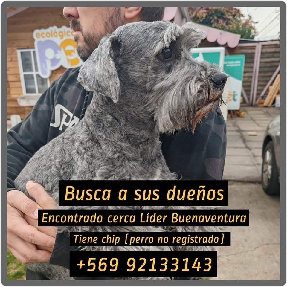 Brenda Etchegaray tweet media