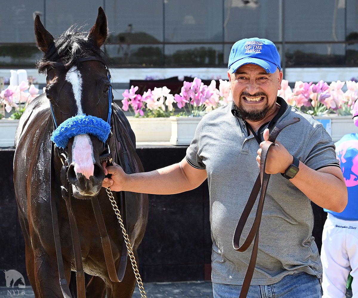 NYTB (@nytbreeders) on Twitter photo Great hat, better smile! Friend Ofthe Devil, by <a href="/sequelnewyork/">Sequel New York</a>'s Honest Mischief, rolled home in the Spectacular Bid division of the NYSSS. Least, Farview, & Tugel bred Blue Devil, Zaro, <a href="/TrainerCMartin/">Carlos martin</a>, & Christopher Elliot's talented #NYbred. Full recap: tinyurl.com/36efhxhf Great hat, better smile! Friend Ofthe Devil, by <a href="/sequelnewyork/">Sequel New York</a>'s Honest Mischief, rolled home in the Spectacular Bid division of the NYSSS. Least, Farview, & Tugel bred Blue Devil, Zaro, <a href="/TrainerCMartin/">Carlos martin</a>, & Christopher Elliot's talented #NYbred. Full recap: tinyurl.com/36efhxhf