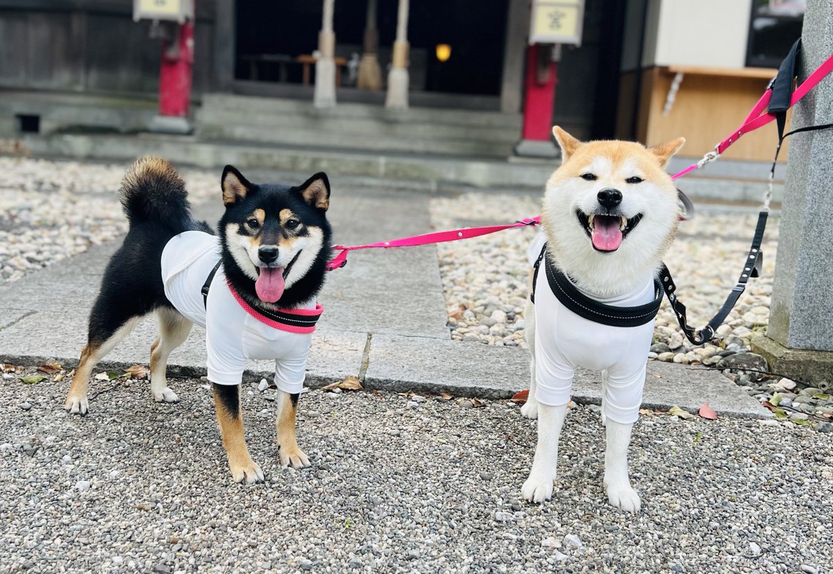 昨晩はサッカー⚽️💙💚のルールほとんど知らなくても存分に楽しんできたよ
🥅⚽️🏃GOALの瞬間のどよめきとか、胸熱😍サポーターのみなさんと熱く歓喜してきました😊🏁💕