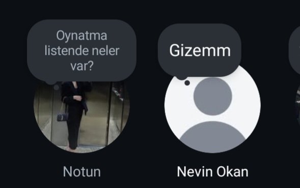 Annemin ablama  aşkı kabarmış 😄