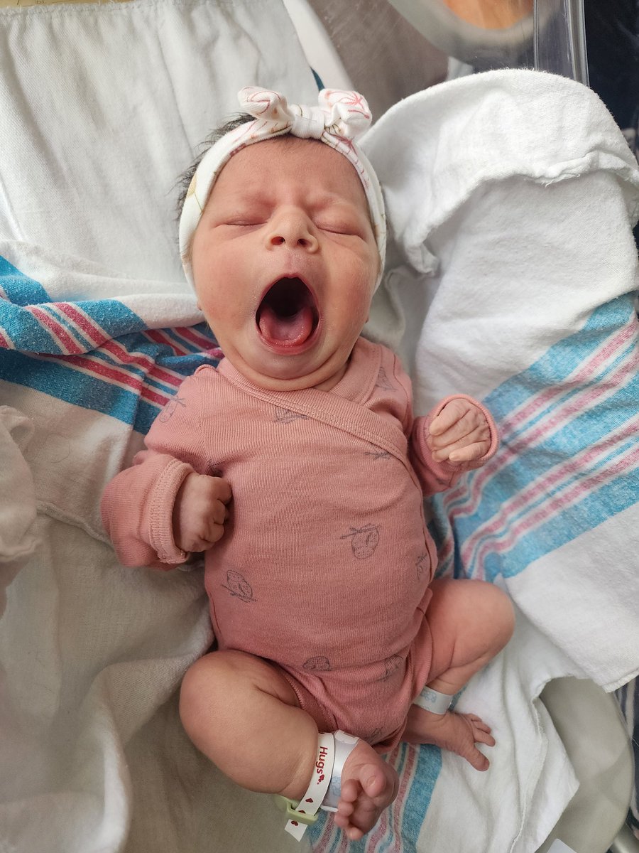 Lil Morathi 💍 TCFTC 💍 tweet media