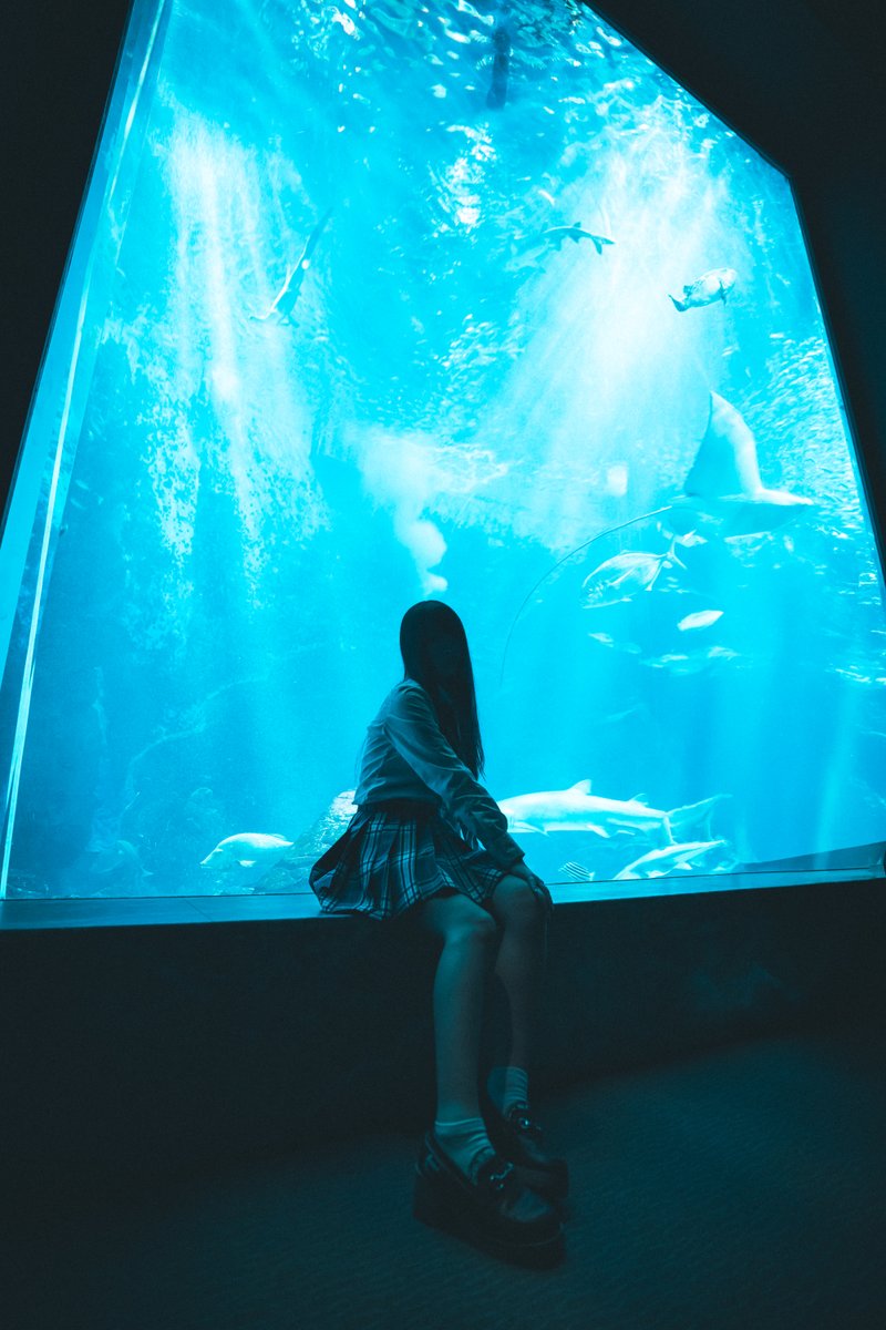 大水槽🐟

📅 2025年5月
🏠 #福岡 #マリンワールド海の中道
📸 ケロロ将軍
👧 レムちゃん