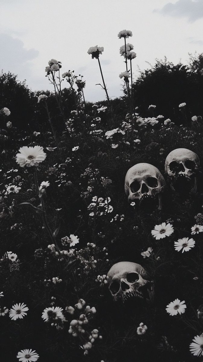 solisolsoli's tweet image. 