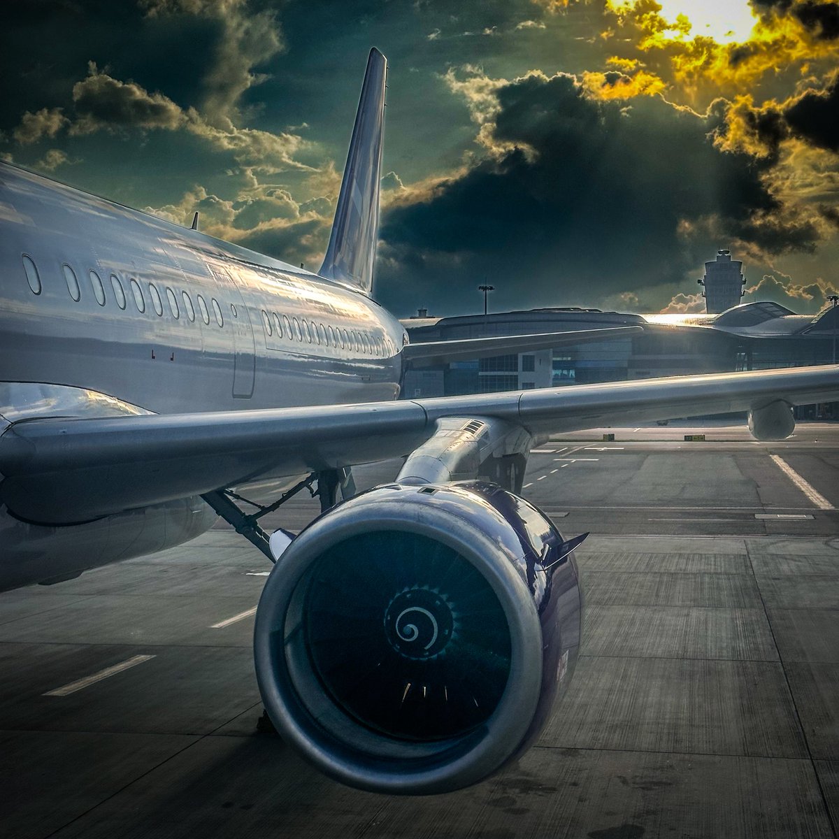 Bound for Paradise 🇯🇵