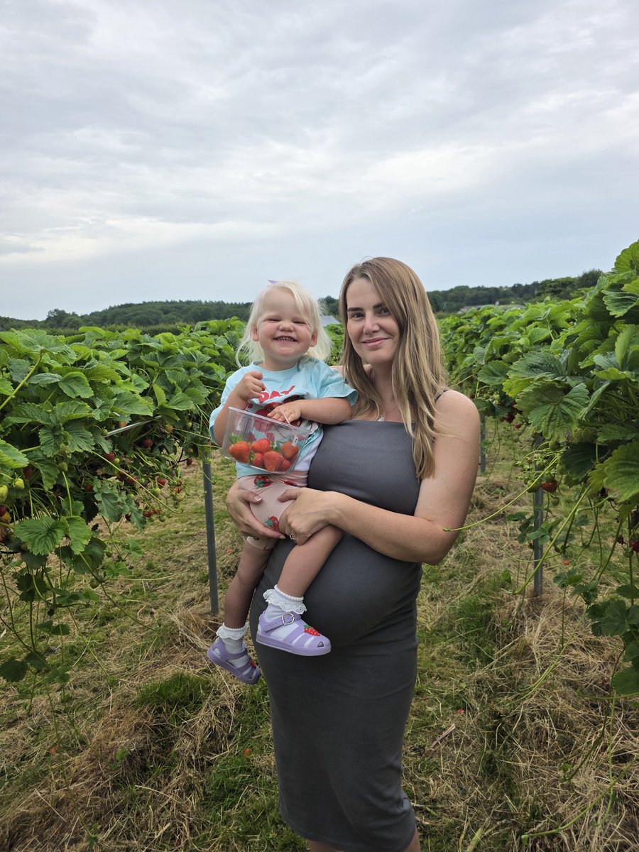 WStephanieRose's tweet photo. Cia had the best day today strawberry picking. 🍓✨️🩷 https://t.co/mj6gseFiVG