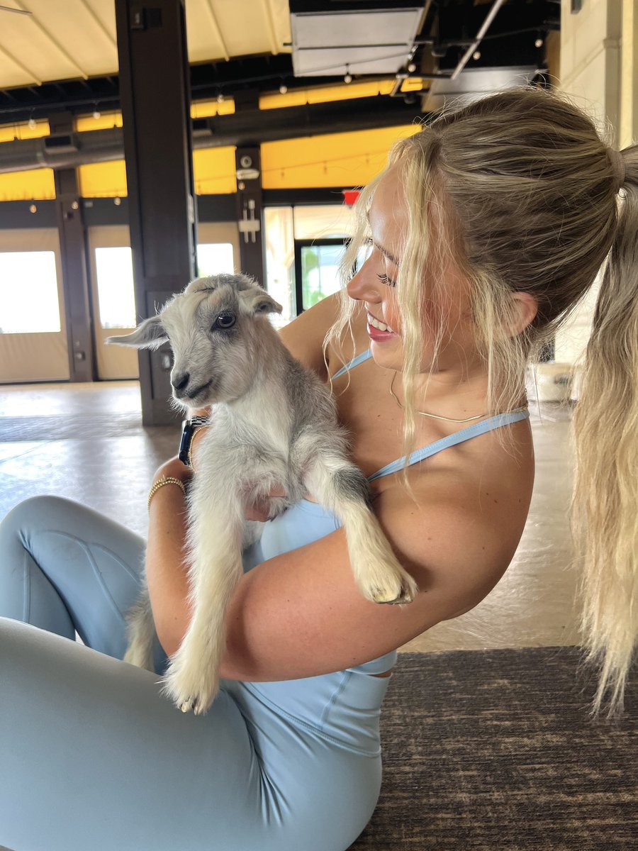 lynziekate's tweet image. this is blueberry 🥹🥹🩵