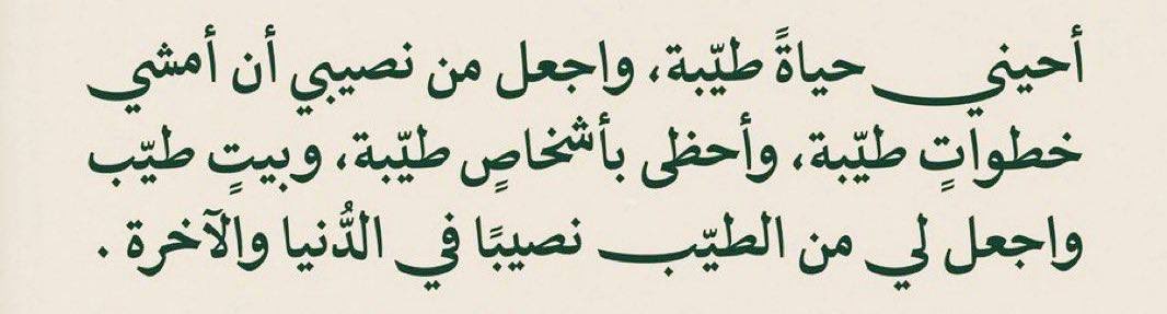🐢. tweet media