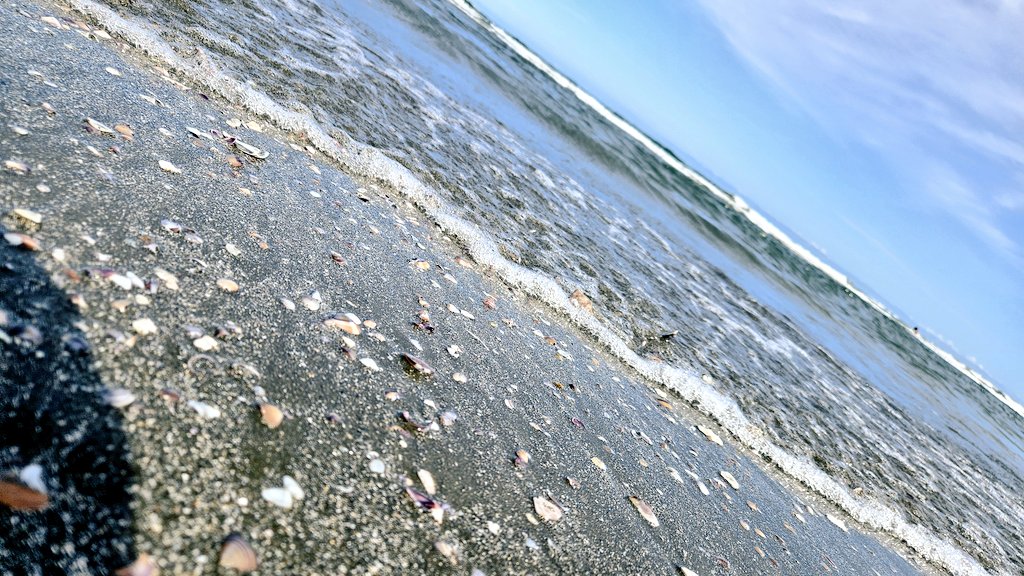 おはよん(๑′ᴗ‵๑)
まだ6月でもこんだけ暑いと海も気持ちいい🌊
今日もよろしくね💪(  ˙꒳​˙💪  )

#初リプ・初絡み・時差リプ大歓迎
#いいねの数だけ好きな曲をつぶやく見た人も道連れ

とりあえずポチっとけよな！
⬇            ⬇             ⬇