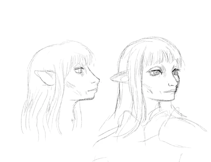 I'm watching the dark crystal series with a friend and I'm kinda obsessed with their face shapes, this is the best thing ever to me... 