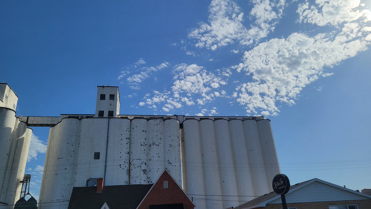 Wheat harvest is in full swing...