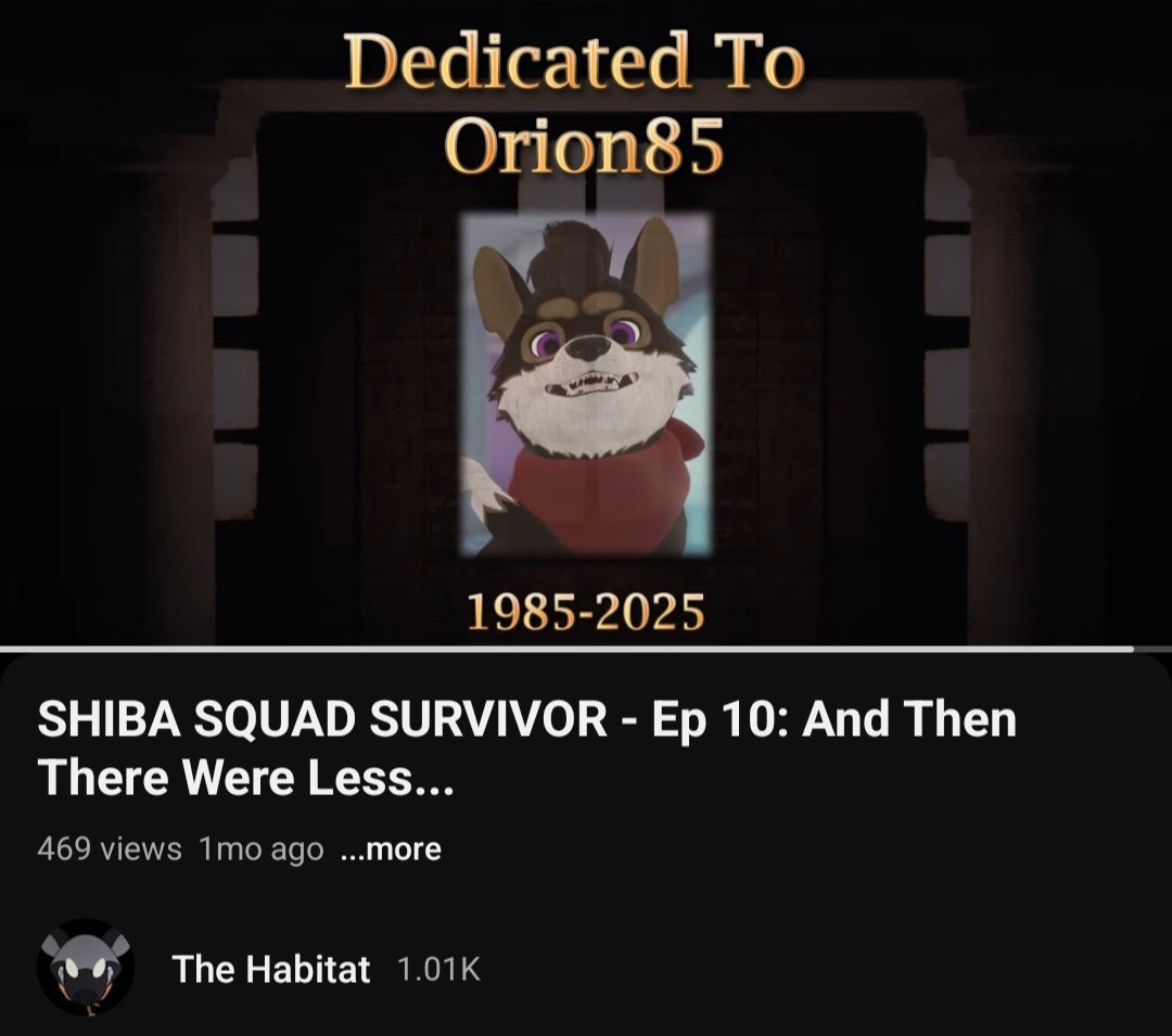 realDrowns's tweet image. It still kills me that @Orion_The_Shiba never got the chance to see this 💔😪.
He had such a passion for this project, I really miss you buddy...