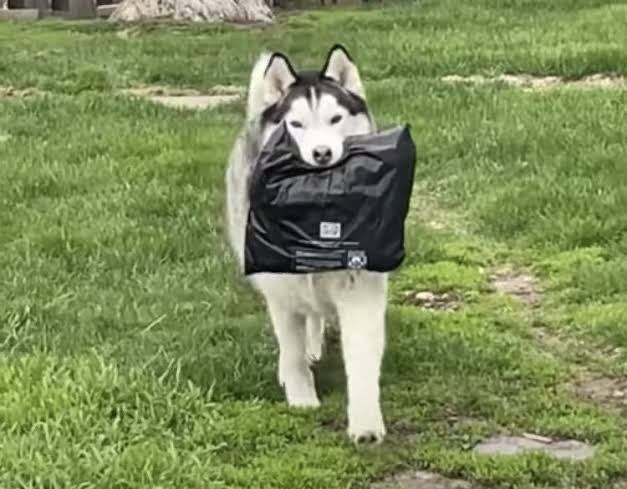 おはようございます☀
本日も昼〜深夜帯
予約承ります
未規制品のみ取り扱い
只今🎁キャンペーンやってます
是非ご覧下さい♪