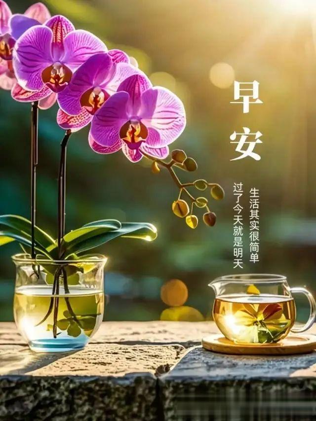 annrying's tweet photo. 知足者常乐，随遇而安。如果你不能做你所爱的，就必须爱你所做的。早安！

#LibertyCatNFT
#互fo互赞
#NFT
#生活
#周末 https://t.co/RzdicU7WKV