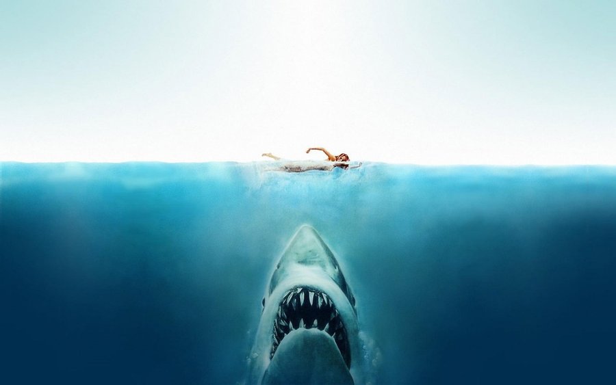 Josekcampos's tweet photo. Celebrating the #50thAnniversary of the premiere (June 20, 1975) of #Jaws🎞️ by #StevenSpielberg 📽️... The genius was showing promise. Thank you, Mr. Spielberg, for so much 
Artisan of Cinema 
#RoyScheider🙏 #RobertShaw🙏@RichardDreyfuss
#HAPPYMemory EveryONE 🌎¡
@morgfair https://t.co/DQ7SQggHqp