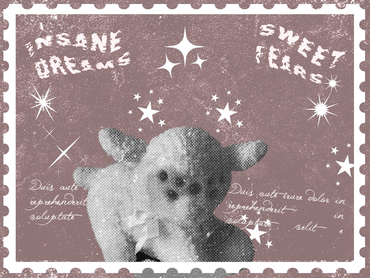 ͏ ͏ ͏ ⃟⃝𝙞𝙣𝙣𝙚𝙧 ͏𝙨𝙖𝙣𝙘𝙩𝙞𝙩𝙮͏͏͏ (@grrotesco) on Twitter photo 