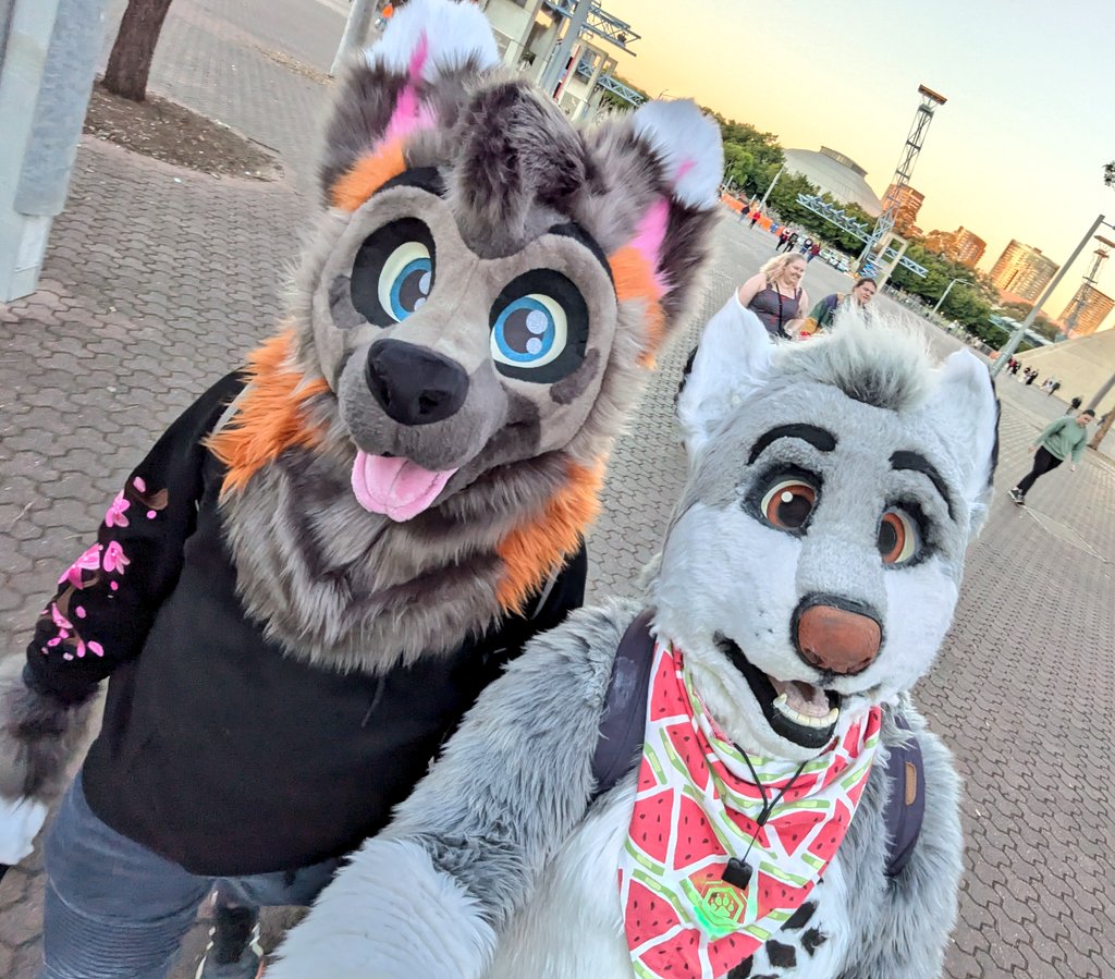 aRTi Husky 🐺 tweet media