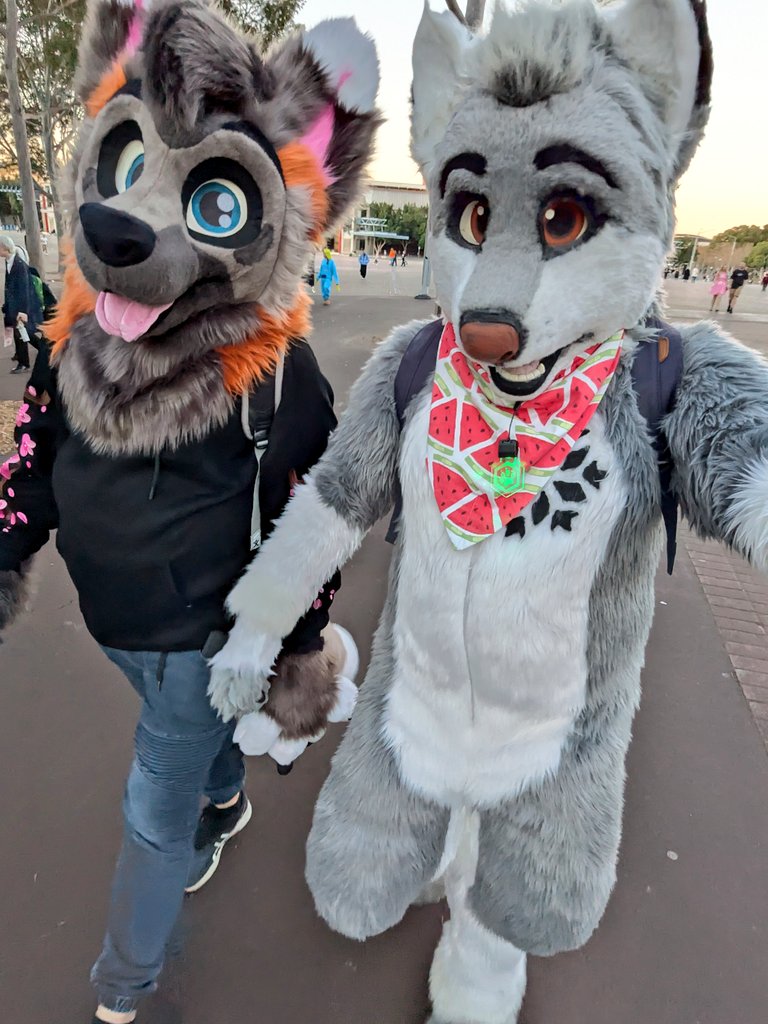 aRTi Husky 🐺 tweet media