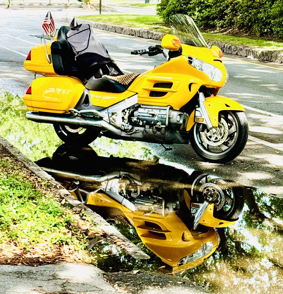 #AlphaberChallenge #WeekYforYellow 

                    Hi-vis motorbike?