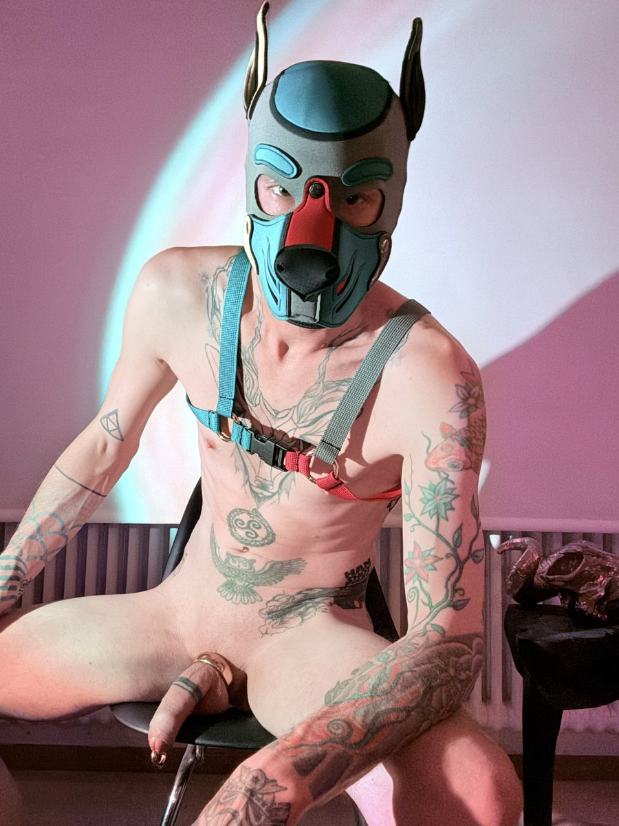 How horny are you?😈 what do you want?😏

#gay #gaypuppy #puppyboy #puppyplay #naked #tattoofreaks #tattoo #cock #cockring #princealbert #pa #dicktattoo #harness #fuck #sex