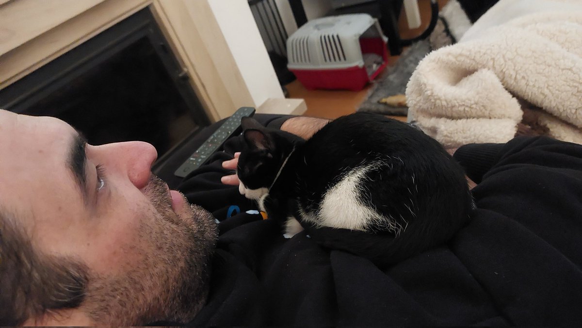 juba // Mariana 🦁 tweet media