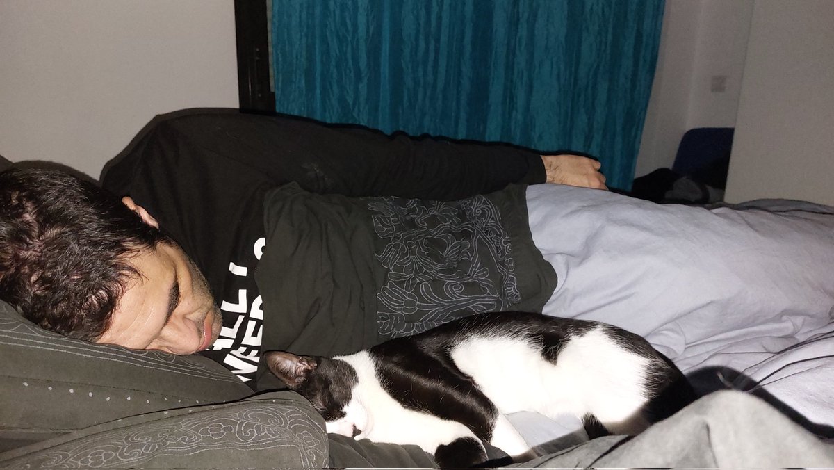 juba // Mariana 🦁 tweet media