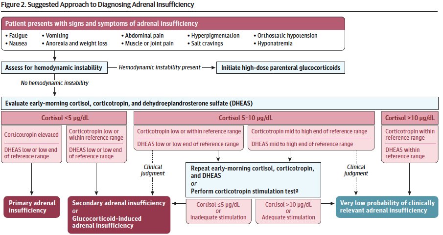 Anand Vaidya (@anandvaidya17) on Twitter photo A pragmatic approach to evaluate for ADRENAL INSUFFICIENCY
Thanks to <a href="/IrinaBancos/">Irina Bancos</a> and Jay Findling for sharing their expertise! A pragmatic approach to evaluate for ADRENAL INSUFFICIENCY
Thanks to <a href="/IrinaBancos/">Irina Bancos</a> and Jay Findling for sharing their expertise!
