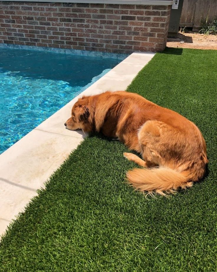 bennyadamsson's tweet photo. #openseatouchgrass https://t.co/ulzZgnchy5