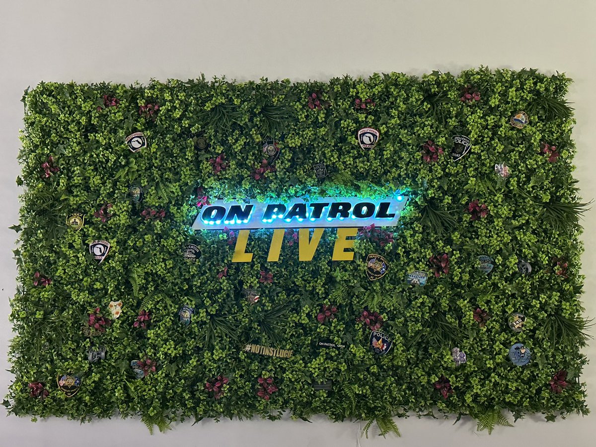 Mandi V. tweet media