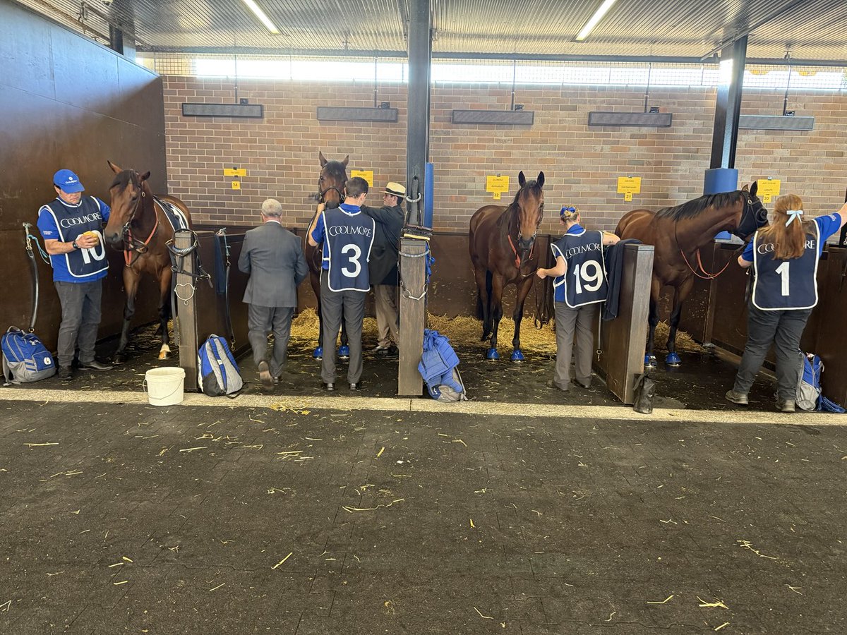 domran's tweet image. Nothing lasts forever. 
Wracked up amazing successes and smashing records along the journey.