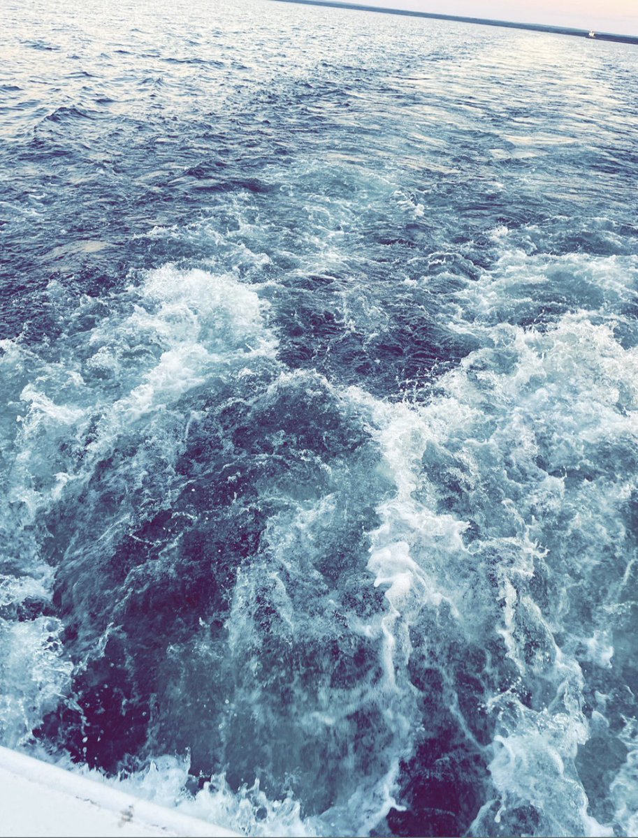 𝒞𝒶𝓇𝓂ℯ𝓃. 🌹✨ tweet media